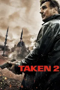 Poster to the movie "Taken 2" #43246