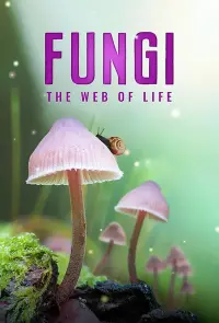 Poster to the movie "Fungi: Web of Life" #356789