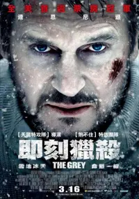 Poster to the movie "The Grey" #472803