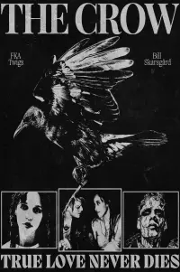 Poster to the movie "The Crow" #604431