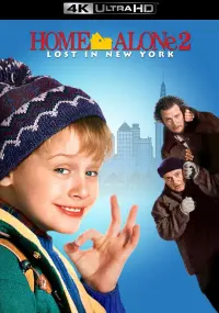 Poster to the movie "Home Alone 2: Lost in New York" #163494