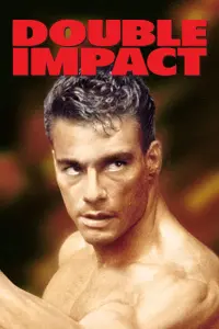 Poster to the movie "Double Impact" #73477