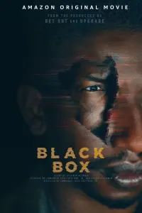 Poster to the movie "Black Box" #133373