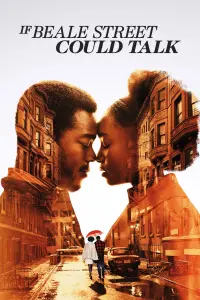 Poster to the movie "If Beale Street Could Talk" #74677