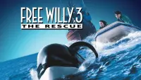 Backdrop to the movie "Free Willy 3: The Rescue" #144228