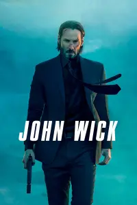 Poster to the movie "John Wick" #51530