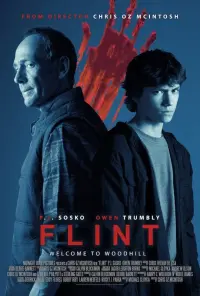 Poster to the movie "Flint" #539151