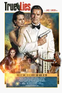 Poster to the movie "True Lies" #242842