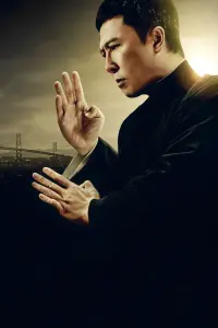 Poster to the movie "Ip Man 4: The Finale" #228218