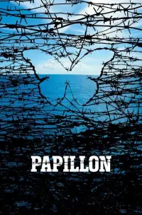 Poster to the movie "Papillon" #223406