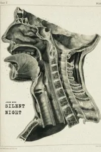 Poster to the movie "Silent Night" #193327