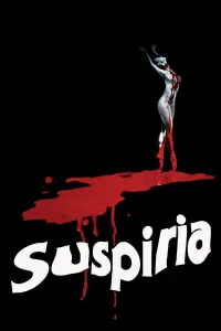 Poster to the movie "Suspiria" #69631