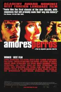 Poster to the movie "Amores Perros" #204152