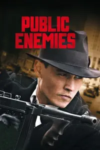 Poster to the movie "Public Enemies" #271247