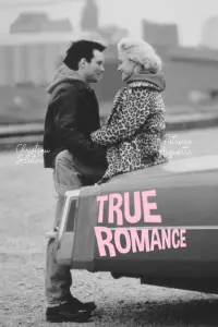 Poster to the movie "True Romance" #544250