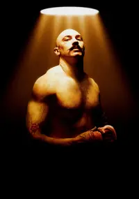 Poster to the movie "Bronson" #247956