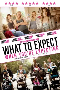 Poster to the movie "What to Expect When You