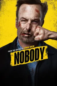 Poster to the movie "Nobody" #35871