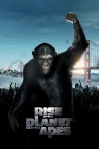 Poster to the movie "Rise of the Planet of the Apes" #21965