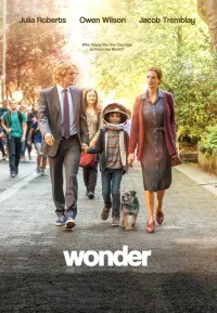 Poster to the movie "Wonder" #72335