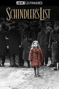 Poster to the movie "Schindler