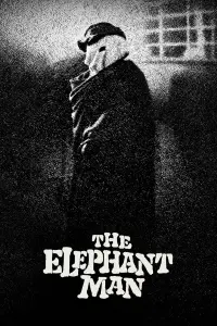 Poster to the movie "The Elephant Man" #124247