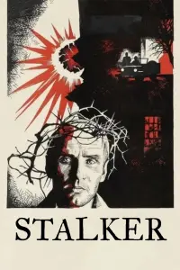 Poster to the movie "Stalker" #474516