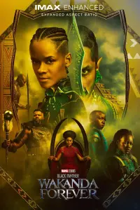 Poster to the movie "Black Panther: Wakanda Forever" #4405