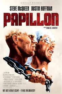 Poster to the movie "Papillon" #110653