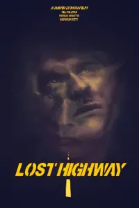 Poster to the movie "Lost Highway" #194508