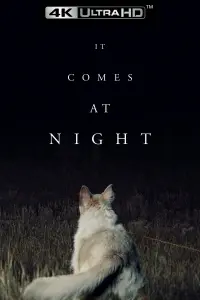 Poster to the movie "It Comes at Night" #135377