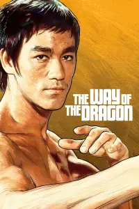 Poster to the movie "The Way of the Dragon" #82881