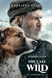 Poster to the movie "The Call of the Wild" #59412