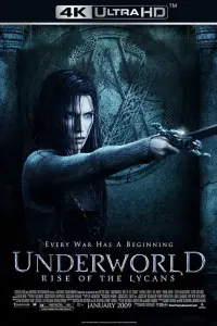 Poster to the movie "Underworld: Rise of the Lycans" #444346