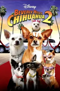 Poster to the movie "Beverly Hills Chihuahua 2" #600793