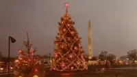 Backdrop to the movie "The National Christmas Tree, A Century of Celebration" #575784