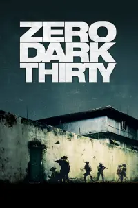 Poster to the movie "Zero Dark Thirty" #248585