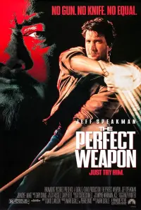 Poster to the movie "The Perfect Weapon" #152657