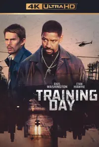 Poster to the movie "Training Day" #211530