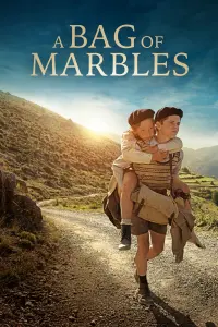 Poster to the movie "A Bag of Marbles" #157441