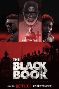 Poster to the movie "The Black Book" #12215