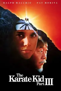 Poster to the movie "The Karate Kid Part III" #325713