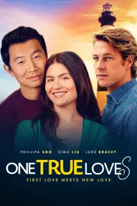 Poster to the movie "One True Loves" #140348