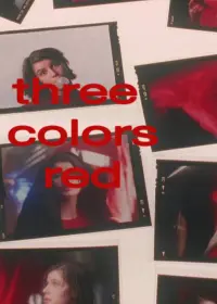 Poster to the movie "Three Colors: Red" #93997