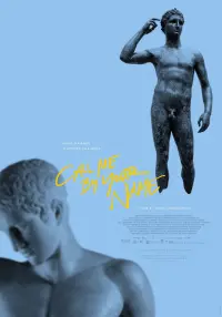 Poster to the movie "Call Me by Your Name" #37203