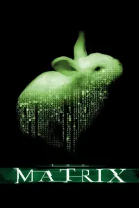 Poster to the movie "The Matrix" #14336