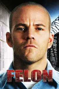 Poster to the movie "Felon" #234118