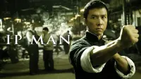 Backdrop to the movie "Ip Man" #132511