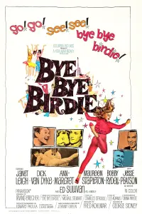 Poster to the movie "Bye Bye Birdie" #157883