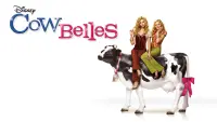 Backdrop to the movie "Cow Belles" #93979